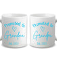 Promoted to Grandparents - Personalized Mug