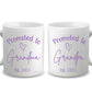 Promoted to Grandparents - Personalized Mug